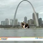 The Today Show imagined Willow's cross-country travels